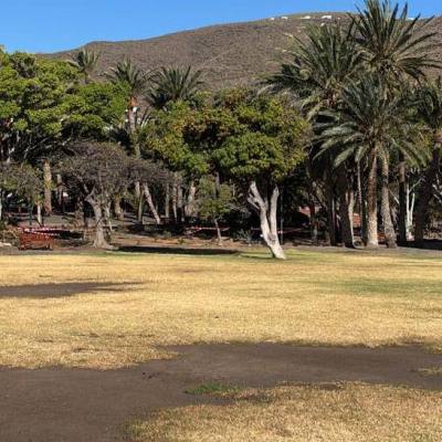Iniciativa por La Gomera (IxLG) reclama un plan de choque urgente para revertir el grave deterioro del Parque de la Torre del&nbsp;Conde